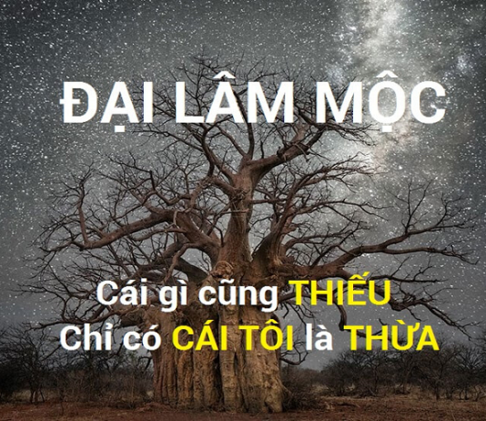 Mệnh Đại Lâm Mộc hợp với mệnh gì? chọn màu gì may mắn? Đại Lâm Mộc hợp với mệnh nào? hợp màu gì?