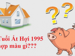 Nam 95 mệnh gì? hợp màu nào nhất?