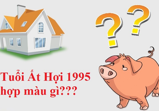 Nam 95 mệnh gì? hợp màu nào nhất?