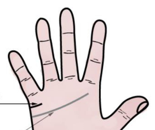 Xem tướng bàn tay nhận biết những người được trời ban duyên Xem tướng bàn tay, đoán vận mệnh về đường hôn nhân