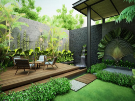 Mách nhỏ bạn 3 lưu ý khi trồng cây phong thủy trong vườn nhà Những lưu ý khi trồng cây phong thủy trong vườn nhà