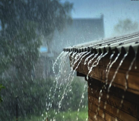 Mơ thấy mưa là điềm lành hay dữ?