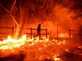 Mơ thấy lửa cháy là điềm báo gì?