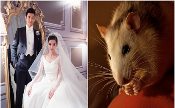 Nam tuổi tý hợp với tuổi nào? nên kết hôn với nữ tuổi gì?