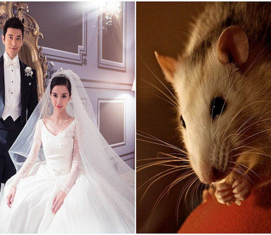 Nam tuổi tý hợp với tuổi nào? nên kết hôn với nữ tuổi gì? Nam tuổi tý hợp với tuổi nào? nên kết hôn với nữ tuổi gì?