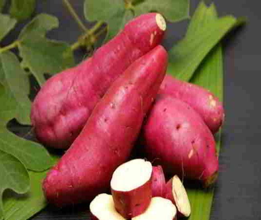 Tìm hiểu nghĩa của giấc mơ thấy khoai lang