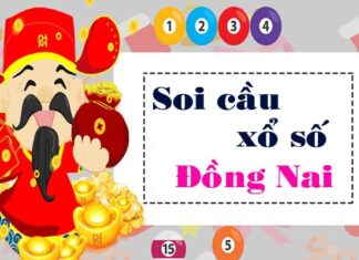 Thống kê XSDN 16/6/2021