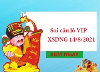 Soi cầu lô VIP XSDNG 14/8/2021