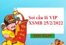 Soi cầu lô VIP KQXSMB 25/2/2022