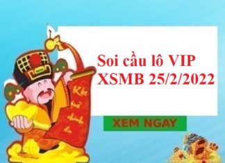 Thống kê lô VIP KQXSMB 25/2/2022