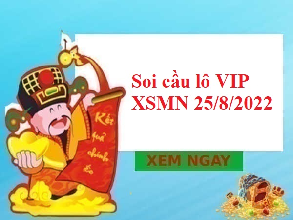 Soi cầu lô VIP KQXSMN 25/8/2022