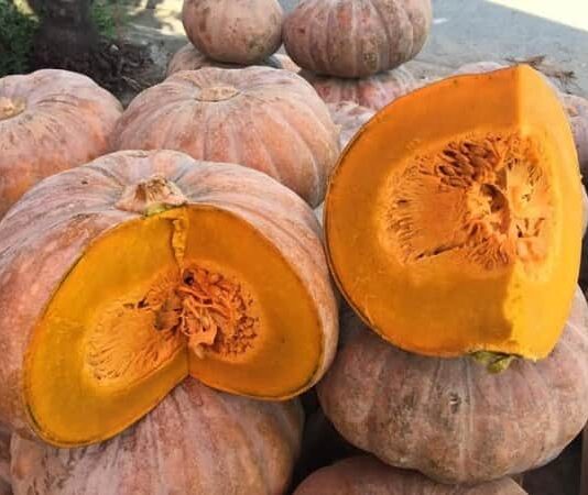 Nằm mơ thấy bí đỏ mang ý nghĩa gì, chơi xổ số con gì?