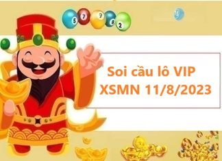 Thống kê lô VIP XSMN 11/8/2023