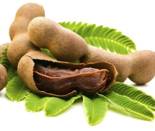 Mơ thấy ăn me đánh con gì? Lành hay dữ?