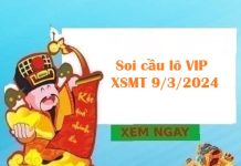 Soi cầu lô VIP XSMT 9/3/2024