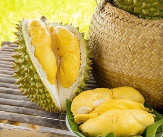 Nhìn thấy quả sầu riêng có điềm báo gì, số mấy chuẩn xác? Nhìn thấy quả sầu riêng có điềm báo gì, số mấy chuẩn xác?