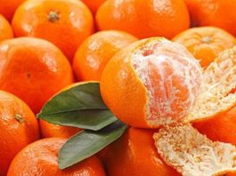 Nhìn thấy quả quýt – Hy vọng rạng ngời hay thử thách gian truân Giải mã điềm báo khi nhìn thấy quả quýt