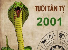 2001 hợp tuổi nào để kết hôn,nên tránh lấy tuổi nào? 2001 hợp tuổi nào để kết hôn