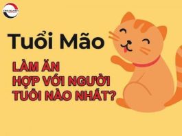 tuổi mão hợp với tuổi nào