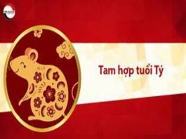 Khám phá tam hợp tuổi Tý tạo dựng mối quan hệ bền vững