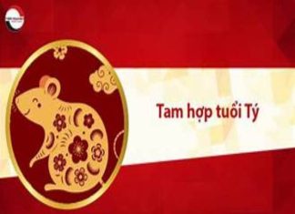 Khám phá tam hợp tuổi Tý tạo dựng mối quan hệ bền vững