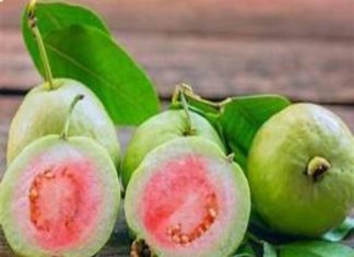 nhìn thấy quả ổi