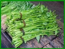 nhìn thấy rau muống