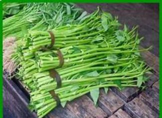 nhìn thấy rau muống