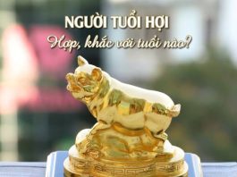 Tuổi Hợi hợp với tuổi nào