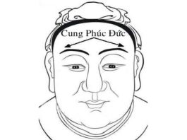 cung phúc đức trên mặt
