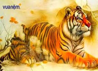 Tử vi tuổi Dần 15/2/2025: triển vọng tài chính cho người tuổi Dần