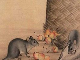 Cặp số mang lại may mắn tuổi Tý 10/4/2025 hôm nay