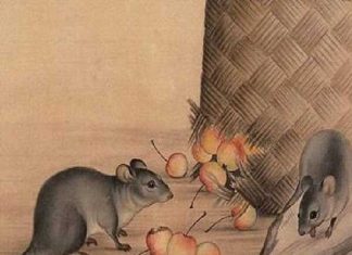 Tử vi tuổi Tý 10/4/2025, cặp số đẹp tuổi Tý thứ Năm Cặp số mang lại may mắn tuổi Tý 10/4/2025 hôm nay