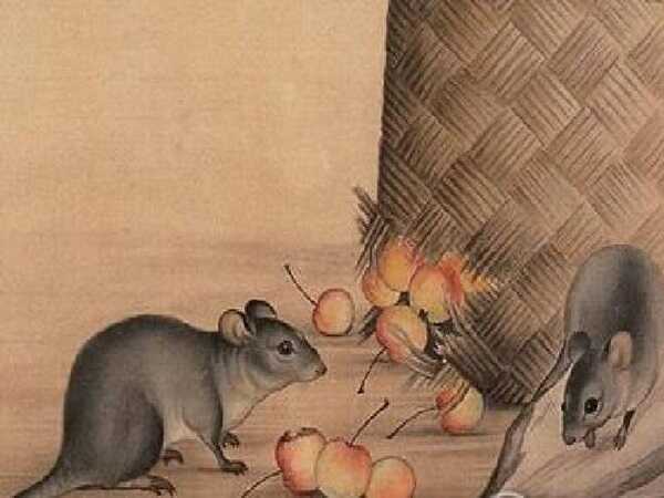 Cặp số mang lại may mắn tuổi Tý 10/4/2025 hôm nay