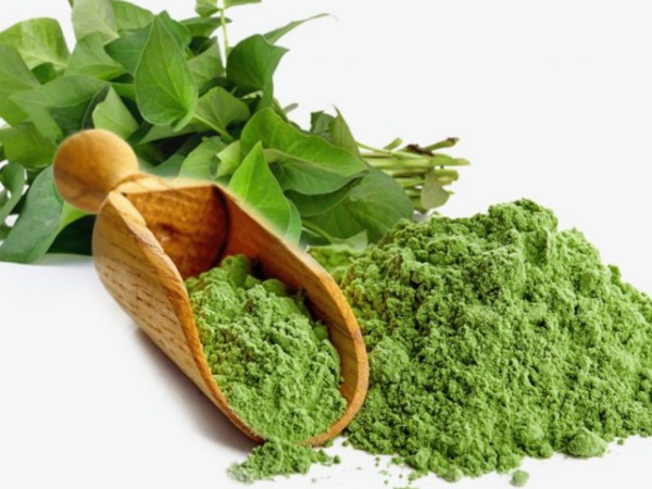 Uống rau diếp cá mỗi ngày có tốt không, cần lưu ý gì?