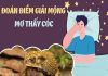 Mơ thấy con cóc vào nhà – điềm lành hay điềm dữ?