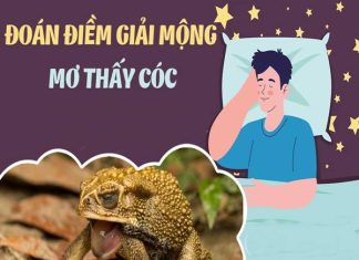 Mơ thấy con cóc vào nhà – điềm lành hay điềm dữ?
