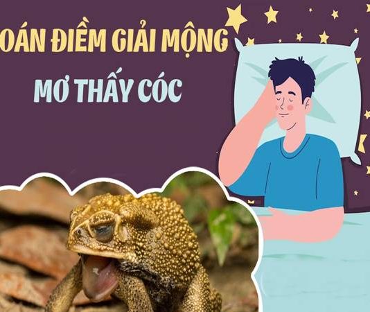 Mơ thấy con cóc vào nhà – điềm lành hay điềm dữ?