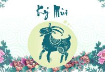 tuổi kỷ mùi