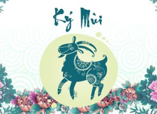 tuổi kỷ mùi