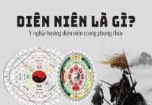 cung diên niên là gì