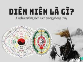 cung diên niên là gì