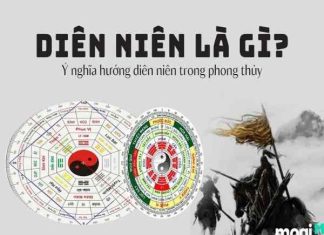 cung diên niên là gì