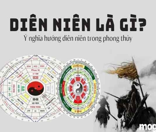 Cung Diên Niên là gì và cách xác định cung theo tuổi? cung diên niên là gì