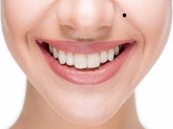 Vị trí và ý nghĩa của đường pháp lệnh