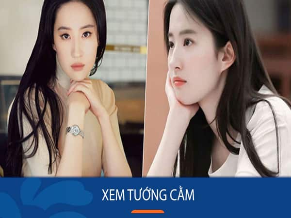 Tướng cằm tròn ở nam và nữ khác nhau thế nào?