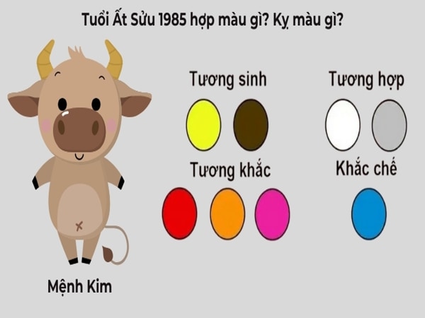 Ứng dụng màu hợp tuổi 1985 trong đời sống