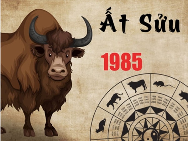 Giới thiệu chung về tuổi 1985