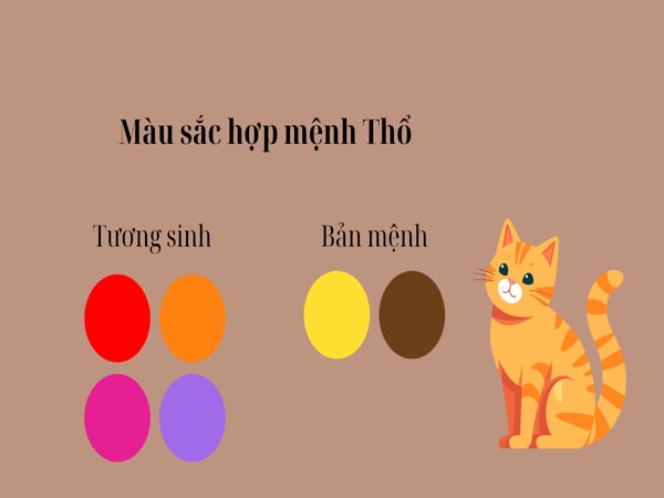 Ứng dụng màu sắc trong đời sống người sinh năm 1999