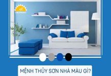 Mệnh thủy sơn nhà màu gì